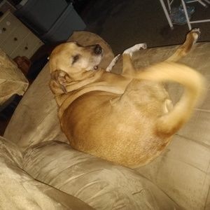 Meet your Posher, Jason.